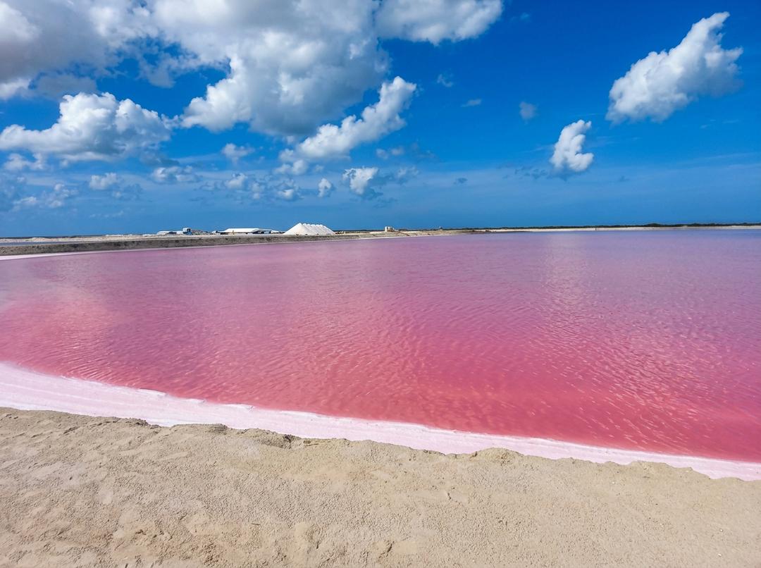 Paisaje roseado de Las Coloradas en Yucatán